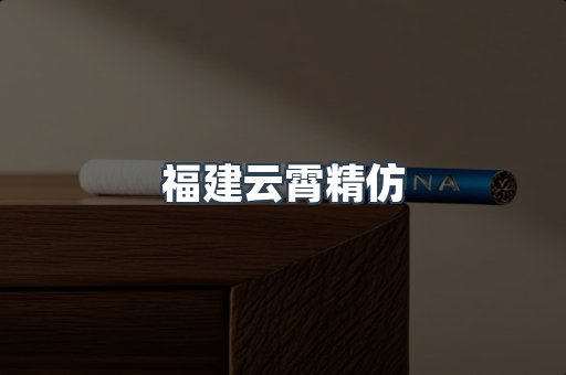 福建云霄精仿